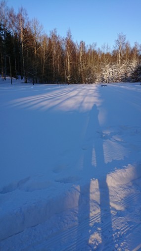 Photo of a snowy field with long shadows